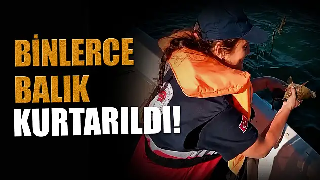 Binlerce Balık Kurtarıldı