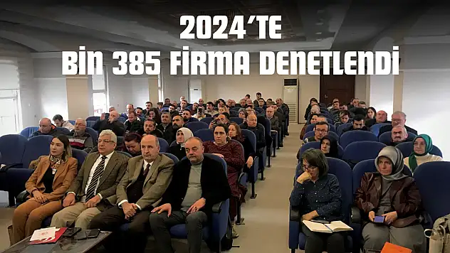 2024'te Bin 385 Firma Denetlendi
