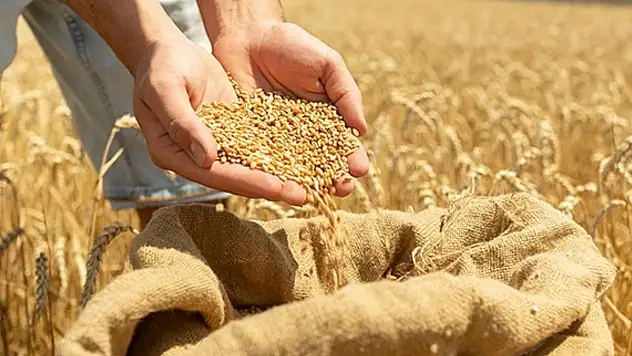 2024'te Tarımda Büyük Adımlar Atıldı
