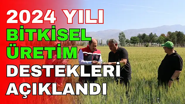 2024 Yılı Bitkisel Üretim Destekleri Açıklandı