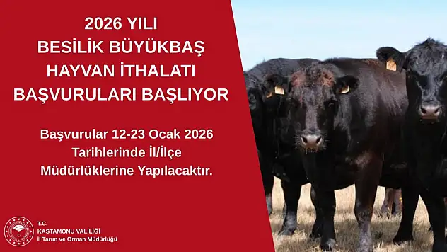 2026 Yılı Besilik Hayvan İthalatı Başvuruları Başlıyor