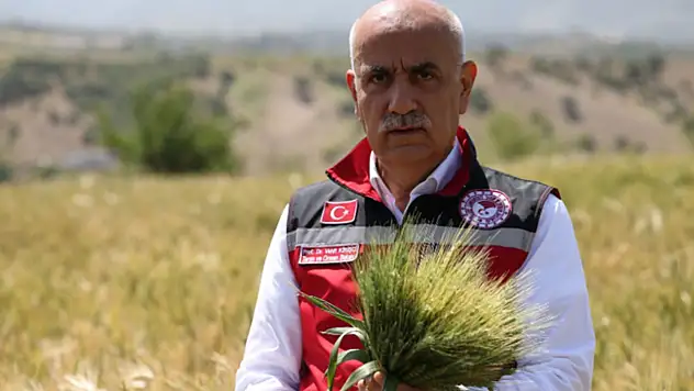 21 milyon ton buğday rekoltesi bekleniyor
