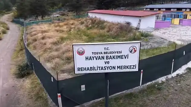 239 Sahipsiz Hayvana Ev Sahipliği Yapıyor