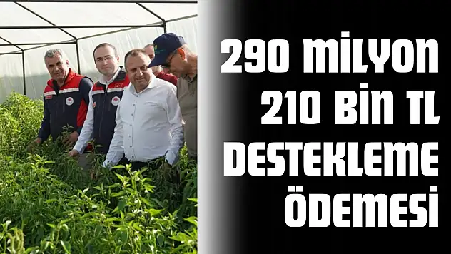 290 Milyon 210 Bin TL Destekleme Ödemesi