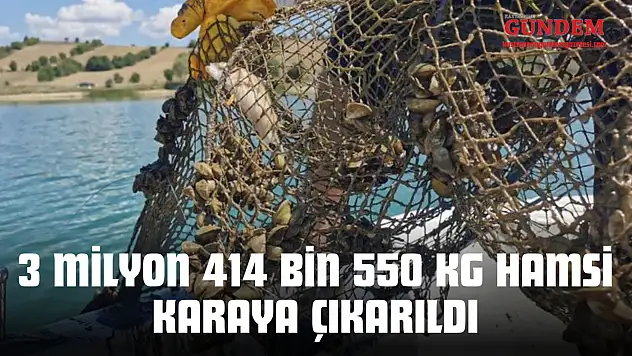 3 Milyon 414 Bin 550 Kg Hamsi Karaya Çıkarıldı