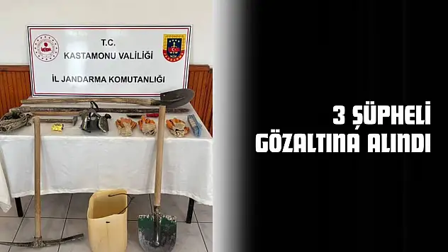 3 Şüpheli Gözaltına Alındı