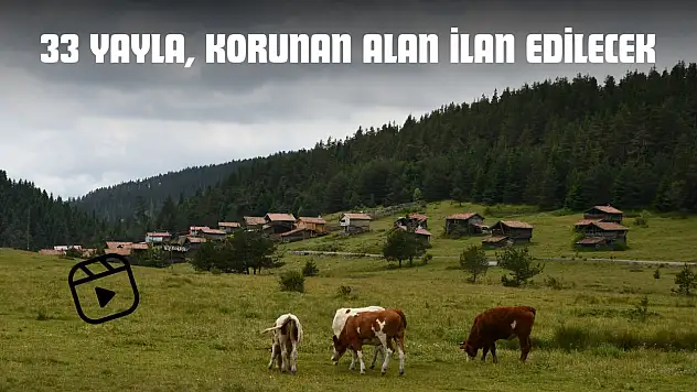 33 Yayla, Korunan Alan İlan Edilecek