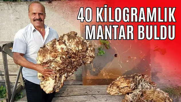 40 Kilogramlık Mantar Buldu