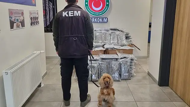 420 Kilogram Uyuşturucunun Türkiye'ye Girişi Önlendi