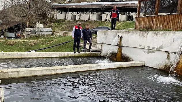 430 Ton Alabalık Üretildi