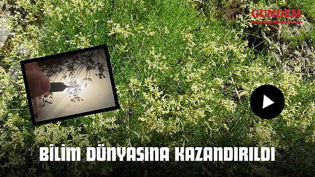 5 Yıllık Çalışmayla Bilim Dünyasına Kazandırıldı