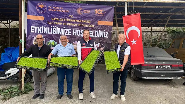 7 Bin 500 Marul Fidesi Dağıtıldı