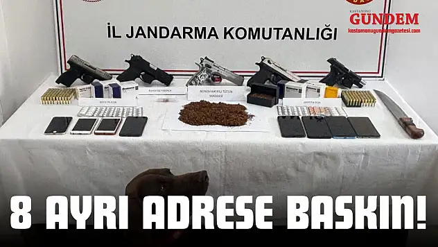 8 Ayrı Adrese Baskın!