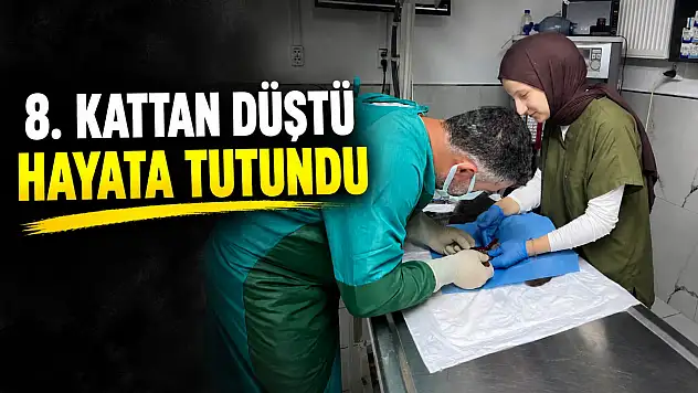 8. Kattan Düştü, Hayata Tutundu