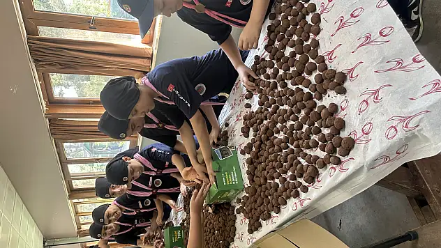 81 bin tohum topu 81 ilde doğayla buluşacak