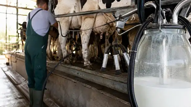 987 Bin Ton İnek Sütü Toplandı