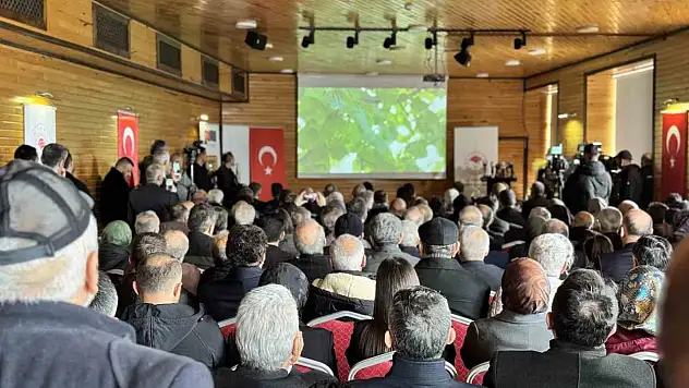 AB Tarafından tLTescillenen Yenice Ihlamur Balı Tanıtıldı
