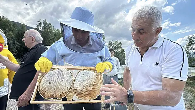 AB tescilli Yenice ıhlamur balında hasat başladı