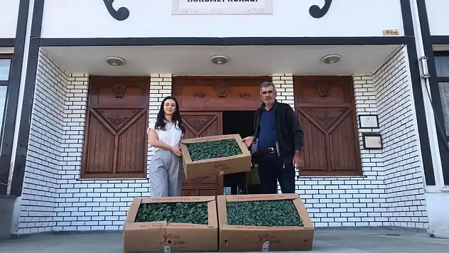 Abana'da Çiftçilere 20 Bin Sebze Fidesi Dağıtıldı