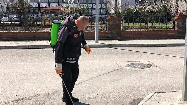 Abana'da Sağlıklı Bir Yaz İçin Çalışmalar Başladı