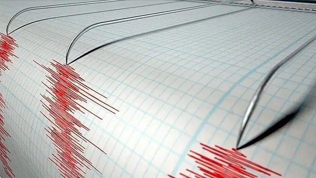 AFAD Başkanı Memiş: 'Bina Deprem Yönetmeliğini Tamamladık'