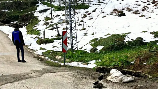 AFAD, Cide'de Sahada İncelemede Bulundu