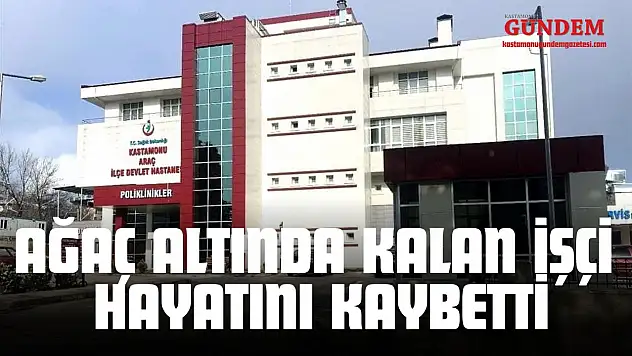 Ağaç Altında Kalan İşçi Hayatını Kaybetti