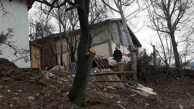Ağaç Budarken Kafasına Dal Düştü, Yaralandı