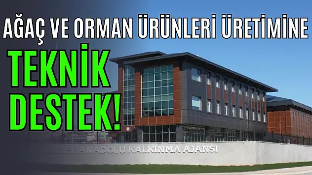 Ağaç ve Orman Ürünleri Üretimine Teknik Destek