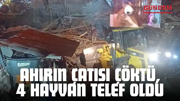 Ahırın Çatısı Çöktü, 4 Hayvan Telef Oldu