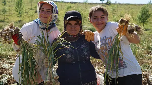 Aile bütçelerine destek oluyorlar