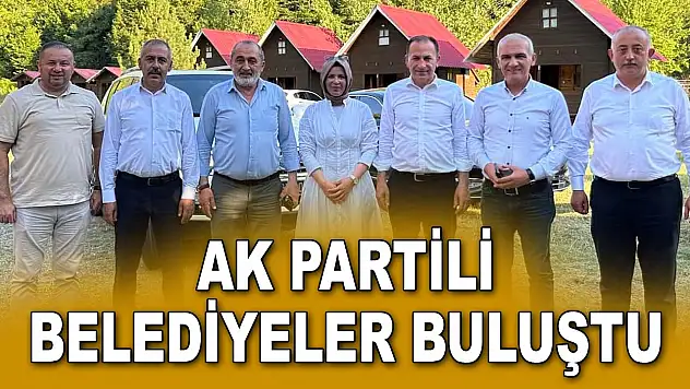 AK Partili Belediyeler Pınarbaşı'nda Buluştu