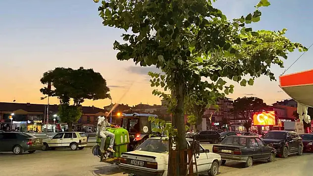 Alaca'da haşereye karşı ilaçlama çalışmaları hız kesmeden sürüyor