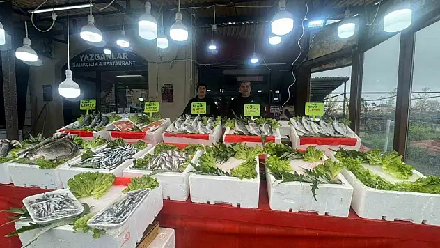 Mezgit Fiyatı 500 Liraya Çıktı