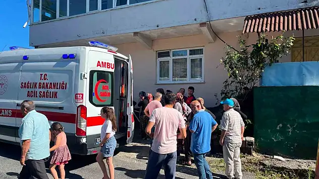 Alaplı'da 'pat-pat' kazası: 5 yaralı