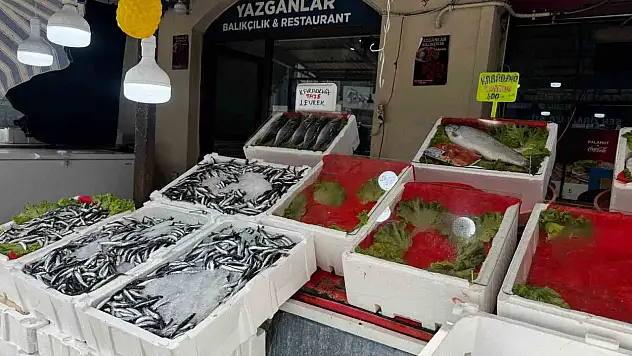 Balık Tezgâhları Boş Kaldı