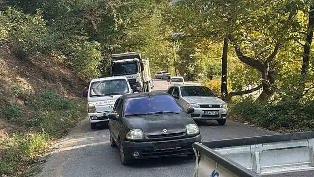 Yola Devrilen Ağacı Vatandaşlar Kaldırdı