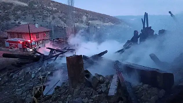 Alevler 1 Ev, 2 Ahırı Kül Etti
