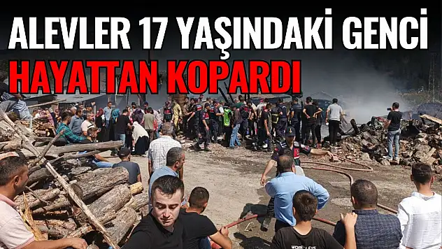 Alevler 17 Yaşındaki Genci Hayattan Kopardı