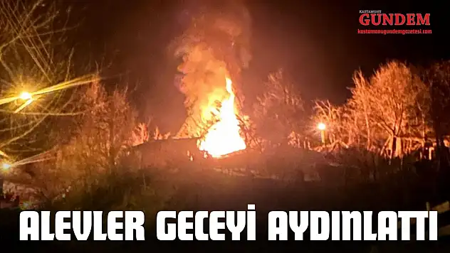Alevler Geceyi Aydınlattı