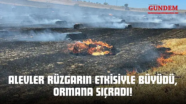 Alevler Rüzgarın Etkisiyle Büyüdü, Ormana Sıçradı!