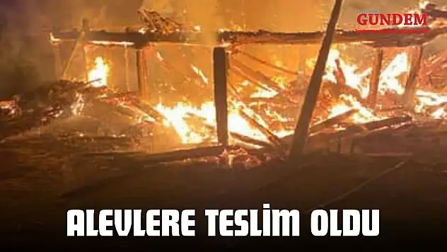 Alevlere Teslim Oldu