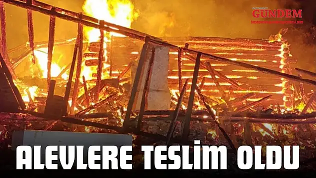 Alevlere Teslim Oldu