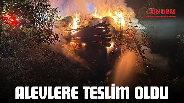 Alevlere Teslim Oldu