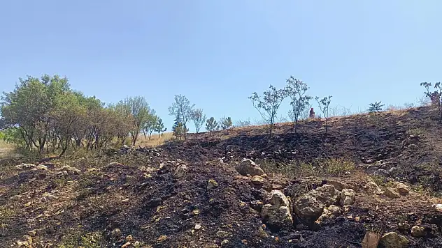 Anız yangını büyümeden söndürüldü
