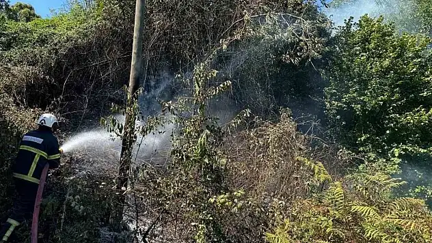 Anız Yangını Ekipleri Harekete Geçirdi