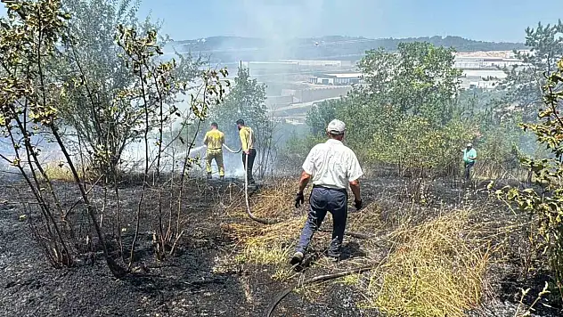 Anız yangını kontrolden çıkıp ormana sıçradı