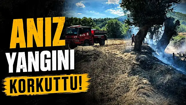 Anız Yangını Korkuttu!