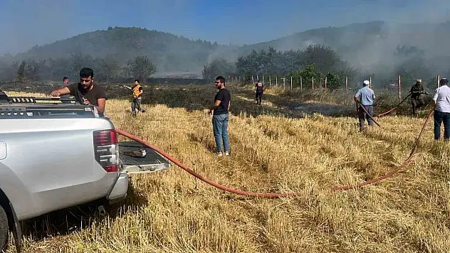 Anız yangını ormanlık alana sıçramadan söndürüldü