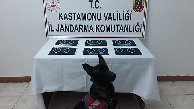 Ankara'dan uyuşturucu getirenler yakalandı